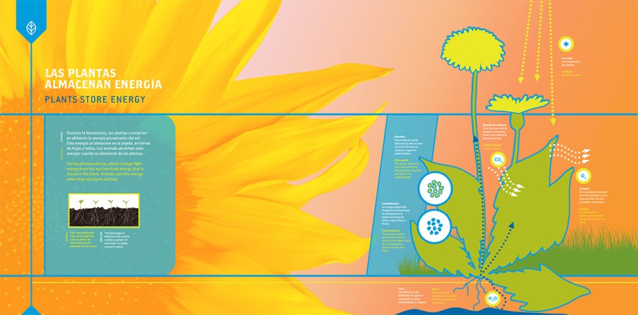 Puerto Rican science museum exhibit graphic design