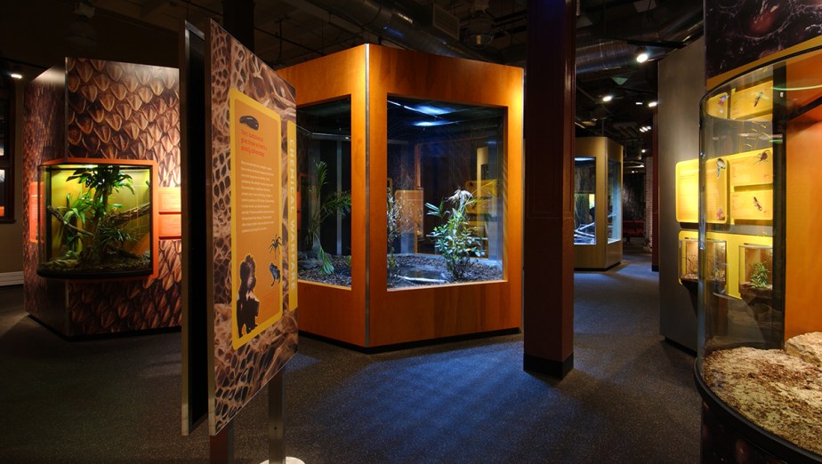 Eat and Be Eaten Museum Exhibition Graphic Design