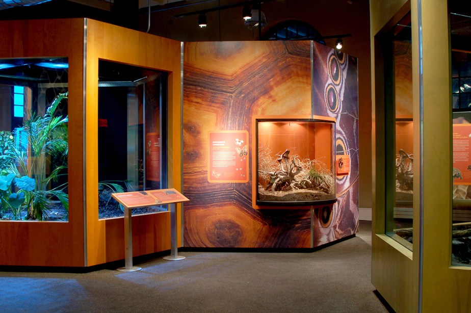 Eat and Be Eaten Museum Exhibition Graphic Design