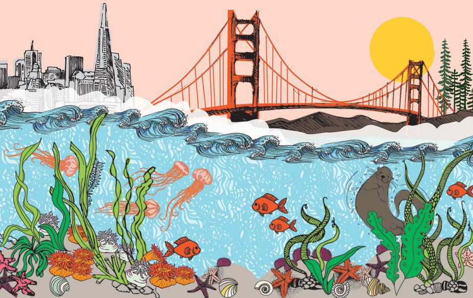 Children's Museum Graphic Design