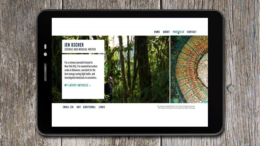 Custom website design