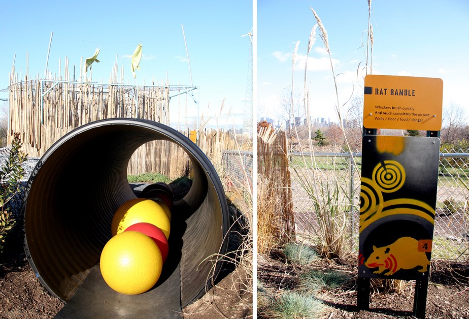 Wildlife Challenge Museum Exhibition Playground Graphic Design