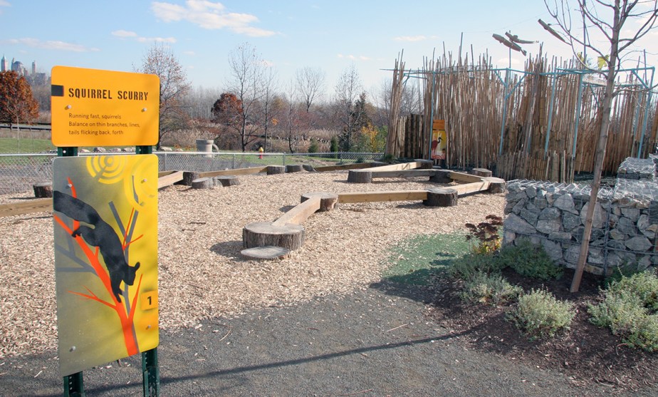 Wildlife Challenge Museum Exhibition Playground Graphic Design